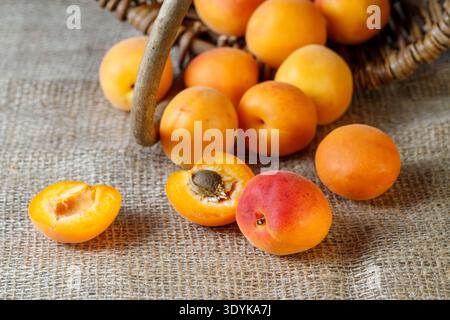 Fresh ripe apricots  falling from wicker basket on jute sack.  Whole and slices fruits closeup Stock Photo