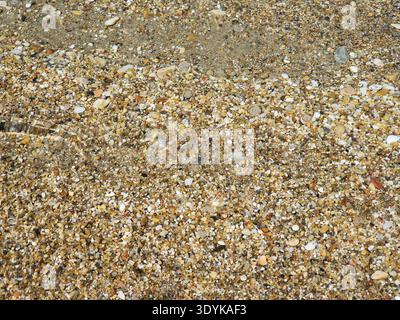 Crystal-clear shallow water gently rippling over a pebble beach, sunlit stones visible beneath the surface creating textured patterns and a calm, peac Stock Photo