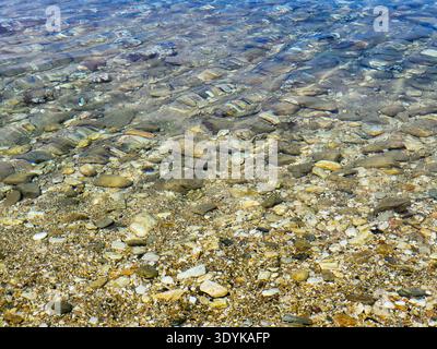 Crystal-clear shallow water gently rippling over a pebble beach, sunlit stones visible beneath the surface creating textured patterns and a calm, peac Stock Photo