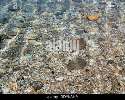 Crystal-clear shallow water gently rippling over a pebble beach, sunlit stones visible beneath the surface creating textured patterns and a calm, peac Stock Photo