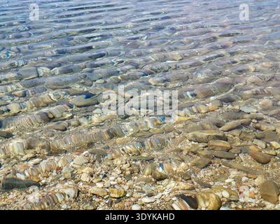 Crystal-clear shallow water gently rippling over a pebble beach, sunlit stones visible beneath the surface creating textured patterns and a calm, peac Stock Photo