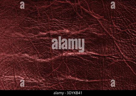 Detailed close up, macro of red glossy metallic effect leather surface with visible wrinkles, creases and natural grain. Textured luxury material back Stock Photo