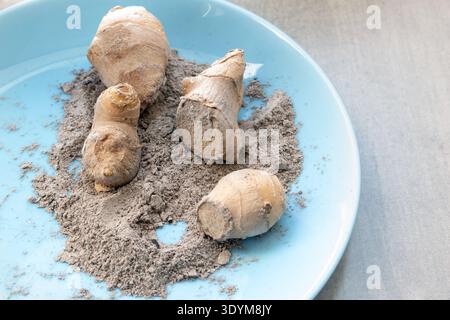 Close up of fresh ginger roots on a blue plate covered with wood ash. Detailed texture of spicy root prepared for organic planting or medicinal use Stock Photo