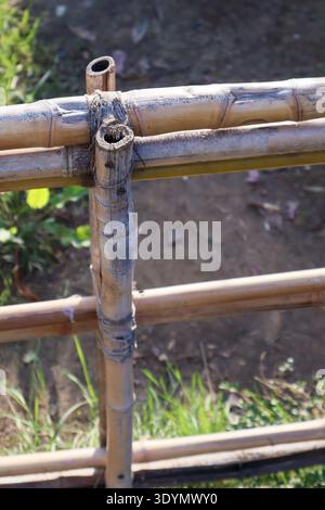 Natural bamboo barrier made from knotted canes surrounded by fresh green plants on fertile soil. Stock Photo