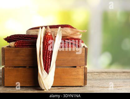 Red corn cobs in crate on wooden table indoors Stock Photo