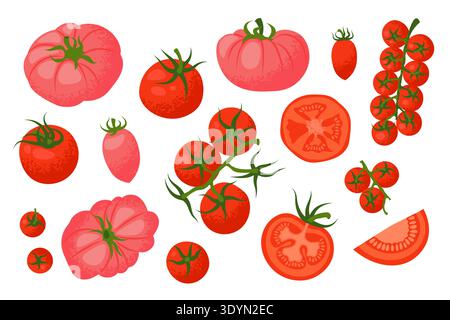 Vector collection of different types of tomatoes, such as cherry tomatoes on the vines, sliced tomatoes, and whole ripe tomatoes. Stock Vector