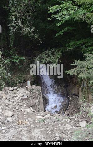 Overhead view of a small waterfall or stream rushing beside a rocky wall, surrounded by dense green vegetation in a shaded forest setting. Stock Photo