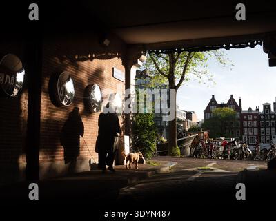 Amsterdam, Netherlands - June 17 2024: Early morning sun casts long shadows as a person walks a dog under an archway in Voormalige Stadstimmertuin. Cl Stock Photo
