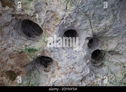 Eroded limestone rock with natural holes and weathered texture inside Green Grotto Caves, a limestone cave system in St Ann Parish, Jamaica, Caribbean Stock Photo