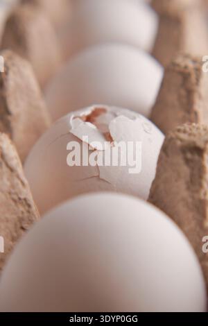 Eggs are placed in a carton in a kitchen Stock Photo
