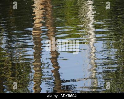 Distorted tree trunks and green foliage reflecting on the wavy water surface, forming an abstract pattern of light, shadow, and texture, showcasing na Stock Photo