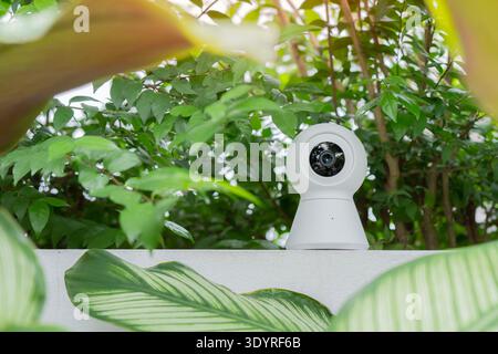 Selective focus of a modern outdoor surveillance camera mounted on a wall surrounded by green plants with a blurred natural background Stock Photo