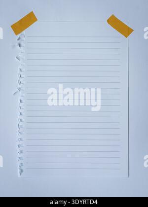 Torn lined paper taped on white paper. Copy space. Stock Photo
