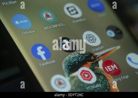 Smartphone screen featuring icons for apps like TikTok, ChatGPT, and Facebook against a colorful background Stock Photo