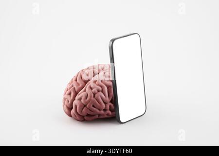 Modern smartphone with blank screen and human brain on white background Stock Photo
