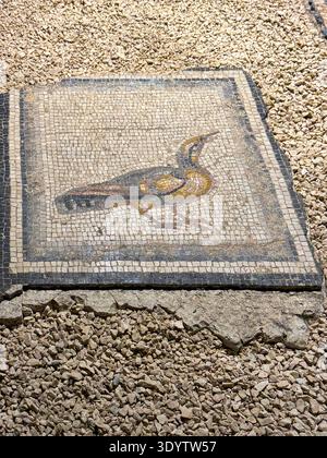 Indian peacock from the border of the Gypsy Girl mosaic. Today it is on display at the Zeugma Mosaic Museum in Gaziantep, Turkey Stock Photo