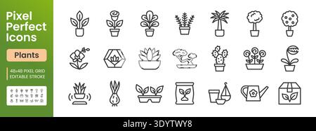Houseplants, indoor gardening line icon set. Potted flowers, cactus, succulent, bonsai, watering can minimal vector illustrations. Simple outline Stock Vector