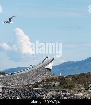 Seagull flying above Storseisundet Bridge on the Atlantic Ocean Road Stock Photo