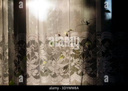 Sunlight shining through retro lace curtain on window. Sunlight shining through retro lace curtain on window. Lace curtain covering window. model rele Stock Photo