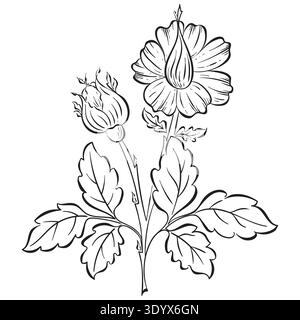 Vector flower floral black silhouette hand drawn. Botanical illustration on white background. Elegant spring nature element with leaves, flowers Stock Vector