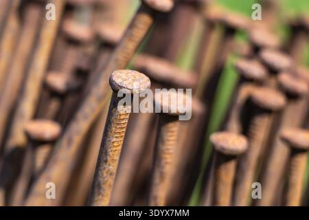 Macro close-up of old rusty iron nails stacked together, highlighting weathered metal surface and industrial texture in natural daylight. Stock Photo