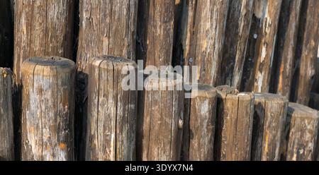 Close-up view of aged wooden posts stacked vertically, revealing rough timber texture, cracks, and natural weathering in rustic construction materials Stock Photo
