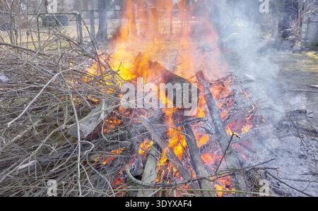 Bonfire made of wood and branches in the garden. Stock Photo