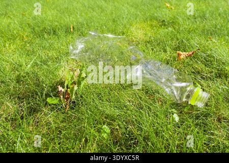 A crumpled transparent plastic bottle with a green cap lies as litter on a bright green lawn. The image depicts environmental pollution in nature Stock Photo