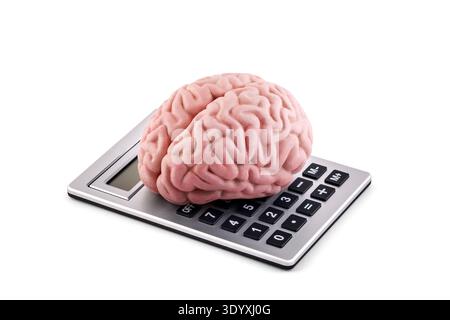 Human brain on calculator isolated on white background with clipping path Stock Photo