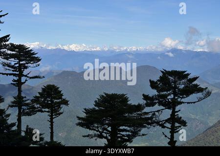 View of the Himalayas from Trumshing Pass, East Bhutan Stock Photo