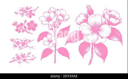 A set of sakura branches and flowers . Hand drawn. Not AI, vector illustration. Stock Vector