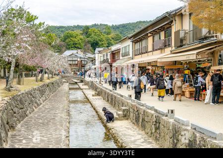 Crowded Omotesando Shopping Street Along Stone Canal During Cherry Blossom Season, Miyajima Island, Japan. Stock Photo