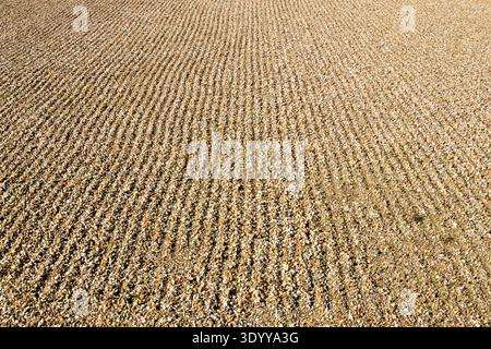 Raked soil pebbles in formal garden Stock Photo