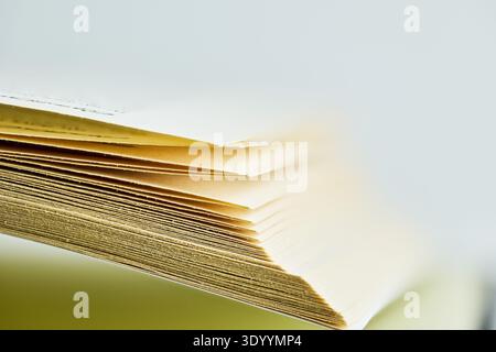 A side view of numerous paper pages fanned out, emphasizing thickness and texture with a blurred background Stock Photo
