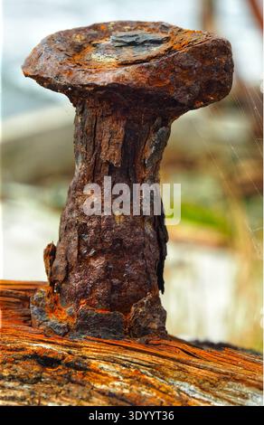 Rusted fitting for rope tie downs, on old timber boat Stock Photo