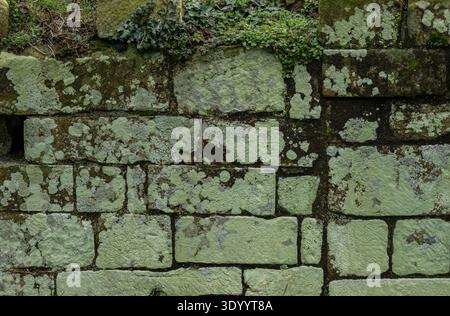 Ancient limestone block wall texture with natural stone masonry pattern Stock Photo