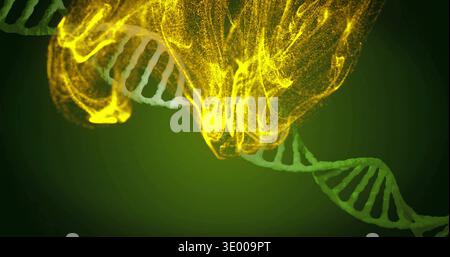 Showing green double-helix DNA strand glowing and emitting yellow particle cloud in abstract studio Stock Photo