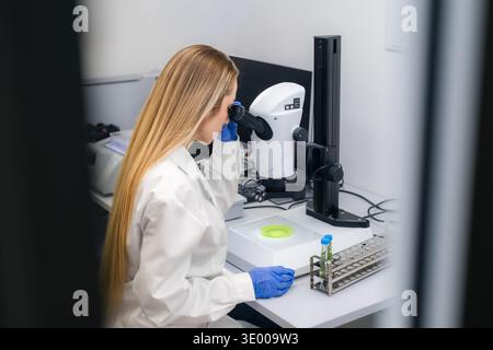 Scientist examining biological specimens through high powered microscope at laboratory workstation. Bright workspace featuring sample dishes and test tubes with colored liquids is visible. Stock Photo