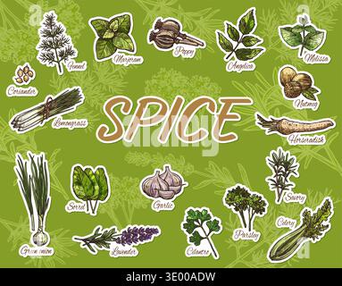 Cooking spices, herbs and food seasonings stickers pack. Vector sketch garlic, mint or melissa, coriander and poppy seeds. Hand drawn parsley and celery leaves, green onion, marjoram and nutmeg spices Stock Vector