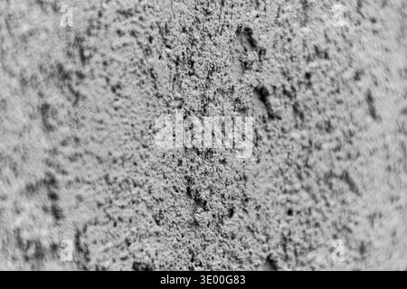 Macro photography of plastered wall taken at angle creating perspective with shallow depth of field showing focused and blurred texture areas depth of Stock Photo