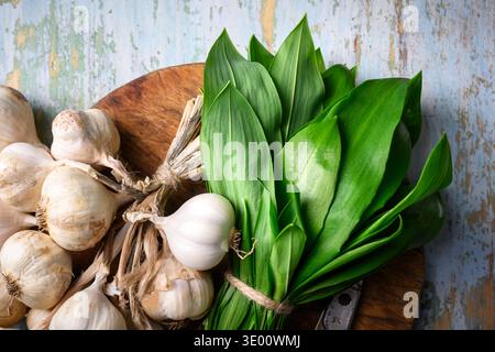 Wild garlic leaves with bundle of garlic bulbs placed on wooden cutting board. Fresh ramsons greens prepared for cooking. Flat lay, top view Stock Photo