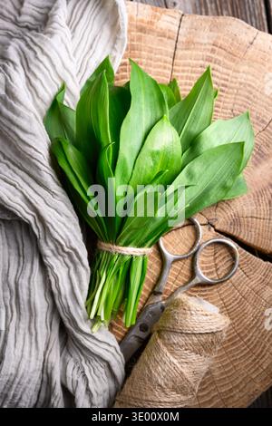 Wild garlic bundle arranged on cutting board with scissors and kitchen twine. Fresh seasonal herbs in food preparation scene. Flat lay, top view Stock Photo