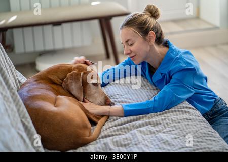 Caring woman spending time with Vizsla dog at home cheering and petting upset pet lying on sofa. Stock Photo