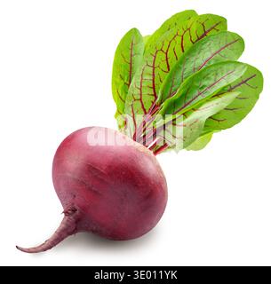 Raw red beetroot with beetroot leaves on white background. File contains clipping path. Stock Photo