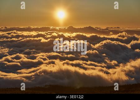 Golden sunset sun illuminating a vast billowing sea of clouds from above with a pine forest silhouette at the base viewed from the Teide plateau Stock Photo