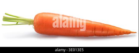 One fresh ripe carrot isolated on white background. File contains clipping path. Stock Photo