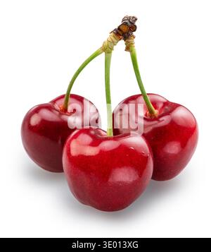 Three sweet cherries isolated on white background. File contains clipping paths. Stock Photo