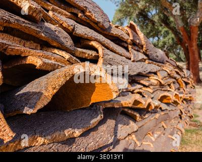 Cork sheets close up, fresh harvested cork bark pile stored in open air. Stock Photo