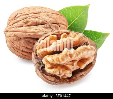 Whole walnut and peeled walnut half isolated on white background, maximum sharpness of stacking photography method, clipping path. Stock Photo