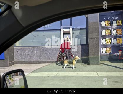 wheelchair symbol, mobility and accessibility for handicapped people in ...
